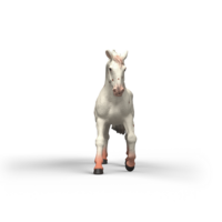 Schleich 14917 Knabstrupper Merrie