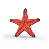 Schleich 14902 Zeester (kleurverandering)