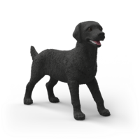 Schleich 14923 Zwarte Labrador Retriever teefje