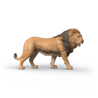 Schleich 14974 Leeuw