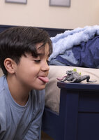 Schleich 70857 Stenen Pad