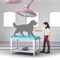 Schleich 42787 Paardenkliniek Helende Hoeven (Paarden Ziekenhuis)