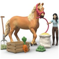 Schleich 42797 Emily's Verzorgingsset detail-variant