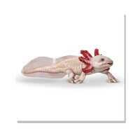 Papo 56066 Axolotl studio-variant