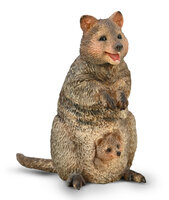 Quokka with Joey van Collecta