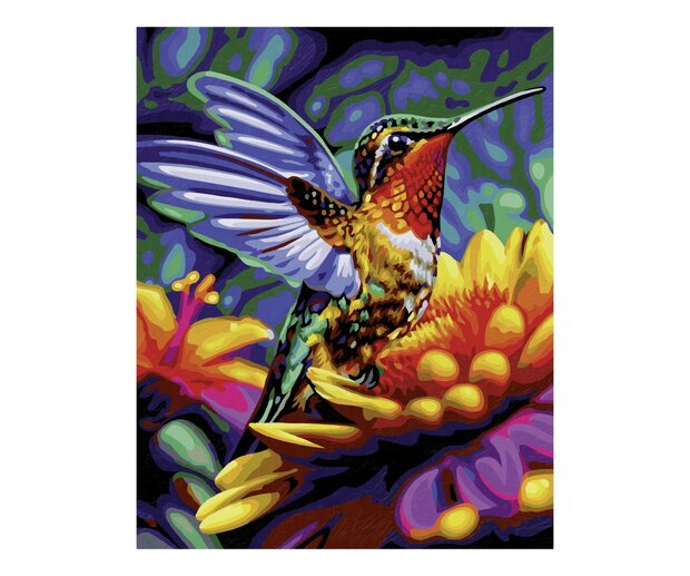 Schilderen op Nummer Kolibrie 
