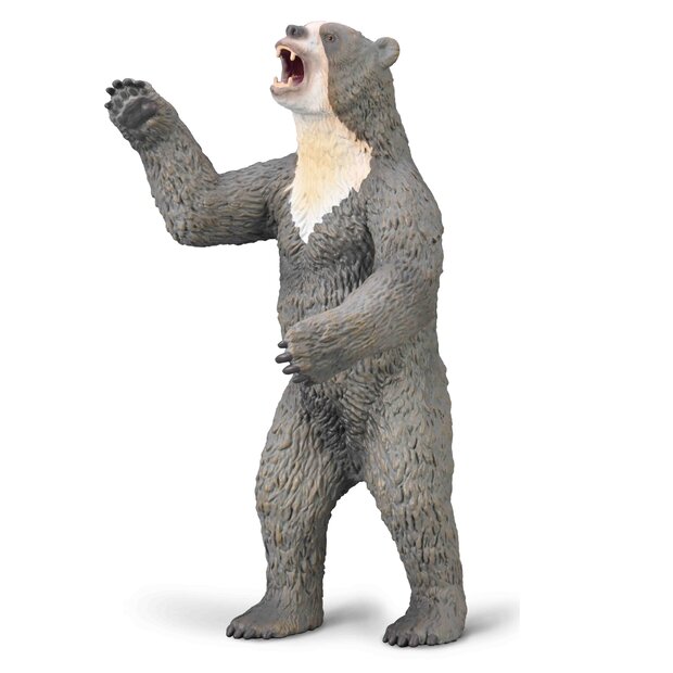 Collecta 80026 Kortsnuitbeer