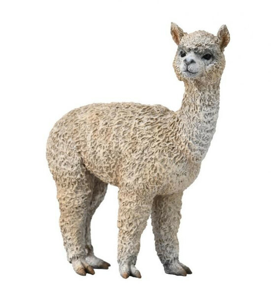 Collecta 88960 Alpaca