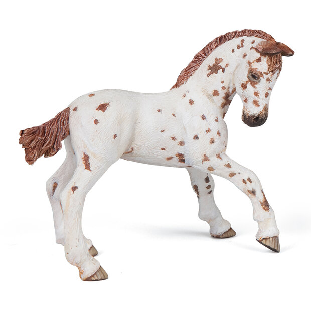 Papo 51510 Appaloosa veulen