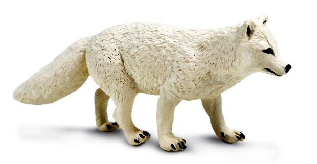 Safari 100731 Poolvos