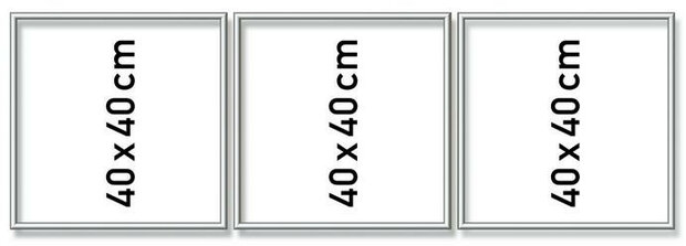 Zilverkl. aluminium lijst drieluik 40/120 cm