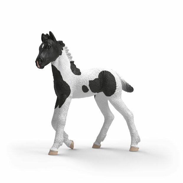 Schleich 81481 Verzamelveulen Rocky van Schleich