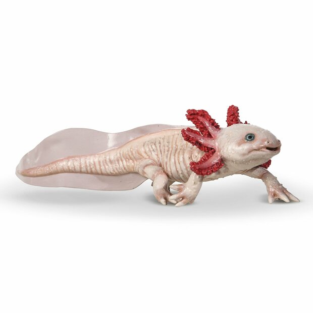 Axolotl figurine van Papo