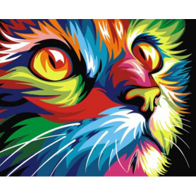 Rainbow Cat - malen nach zahlen - 40 x 50 cm