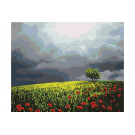 Poppy Field - Paint by Numbers - 40 x 50 cm