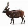 Collecta 88809 Bongo Antelope