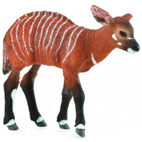Collecta 88823 Antilope Bongo kalf