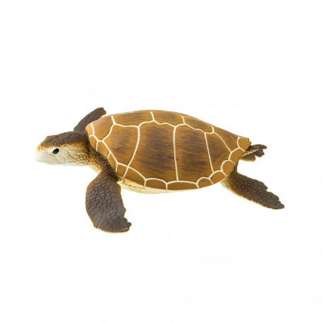 Safari 202329 Green Sea Turtle