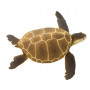 Safari 202329 Green Sea Turtle