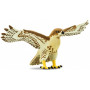 Safari 151029 Red Tailed Hawk