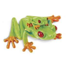 Safari 100120 Red-Eyed Tree Frog