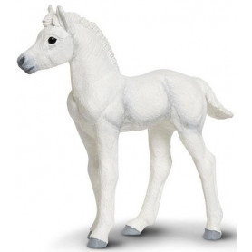 Safari 150605 Palomino foal