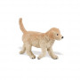 Safari 253229 Golden Retriever Pup