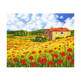 Poppy Meadow - Schilderen op nummer - 40 x 50 cm