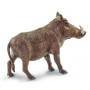 Safari 100512 Wrattenzwijn