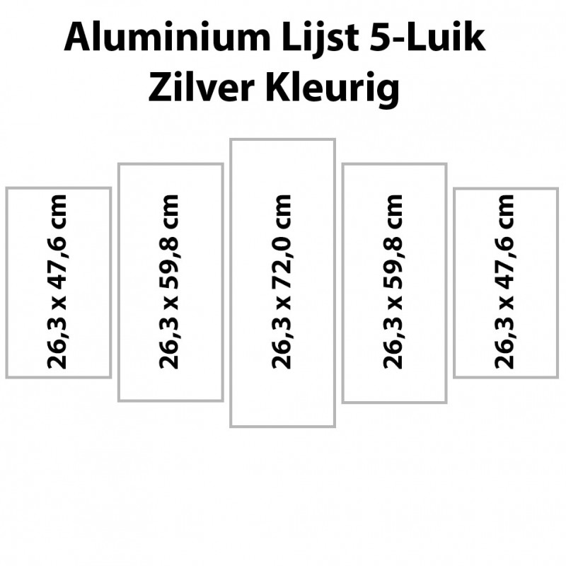 hamer langzaam Voeding Zilverkl. aluminium lijst vijfluik 132 x 72 cm