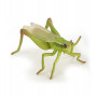 Papo 50268 Grasshopper