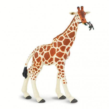 Safari 268429 Giraf etend