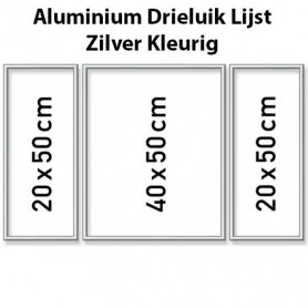 Silver Aluminium frame triptysch 50 x 80 cm