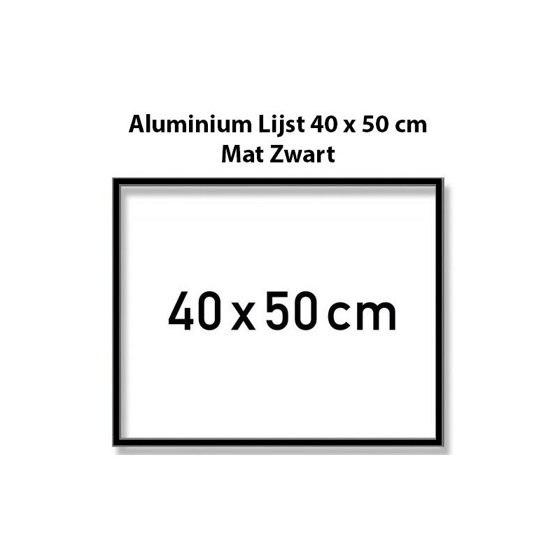 dienen Anemoon vis Portier Mat Zwarte Aluminium Lijst 40 x 50 cm