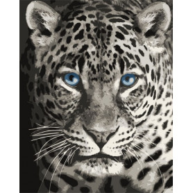 Blue Eyed Leopard - Paint by Numbers - 40 x 50 cm