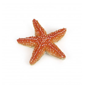 Papo 56050 Starfish