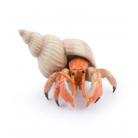 Papo 56054 Hermit Crab
