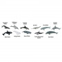 Safari 694704 Whales & Dolphins Toob (11 pieces)