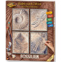 Fossilien - Schipper Quattro 18 x 24 cm