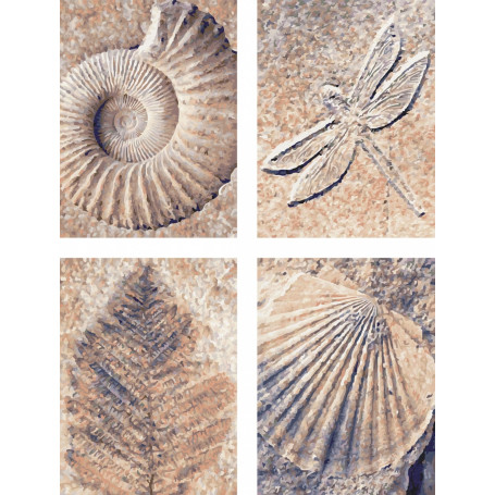 Fossiles - Schipper Quattro 18 x 24 cm