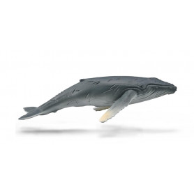 Collecta 88963 Baleine à Bosse Veau