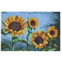 Hama Beads 3608 Art Sunflowers set 10.000 st.