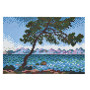 Hama Strijkkralen 3606 Art Claude Monet set 10.000 st.