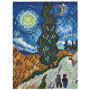 Hama Strijkkralen 3607 Art van Gogh set 10.000 st.