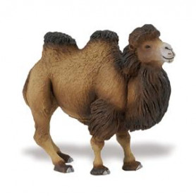 Safari 290929 Bactrian Camel