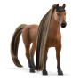 Schleich 42621 Étalon Akhal-Teke Beauty Horse