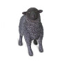 Safari 162229 Black Sheep