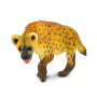 Safari 222629 Hyena
