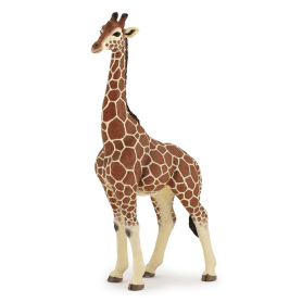 Papo 50149 Giraffe male