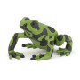 Papo 50176 Equatorial green frog